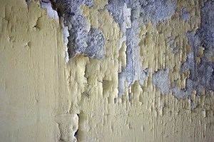 טיח מתקלף קיר רטוב - ליקויי בניה בקירות בית